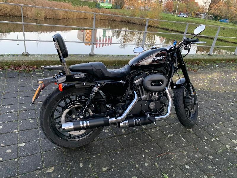 Schienalino Spaan basso nero per Harley Roadster XL1200CX dal 2016 in poi 